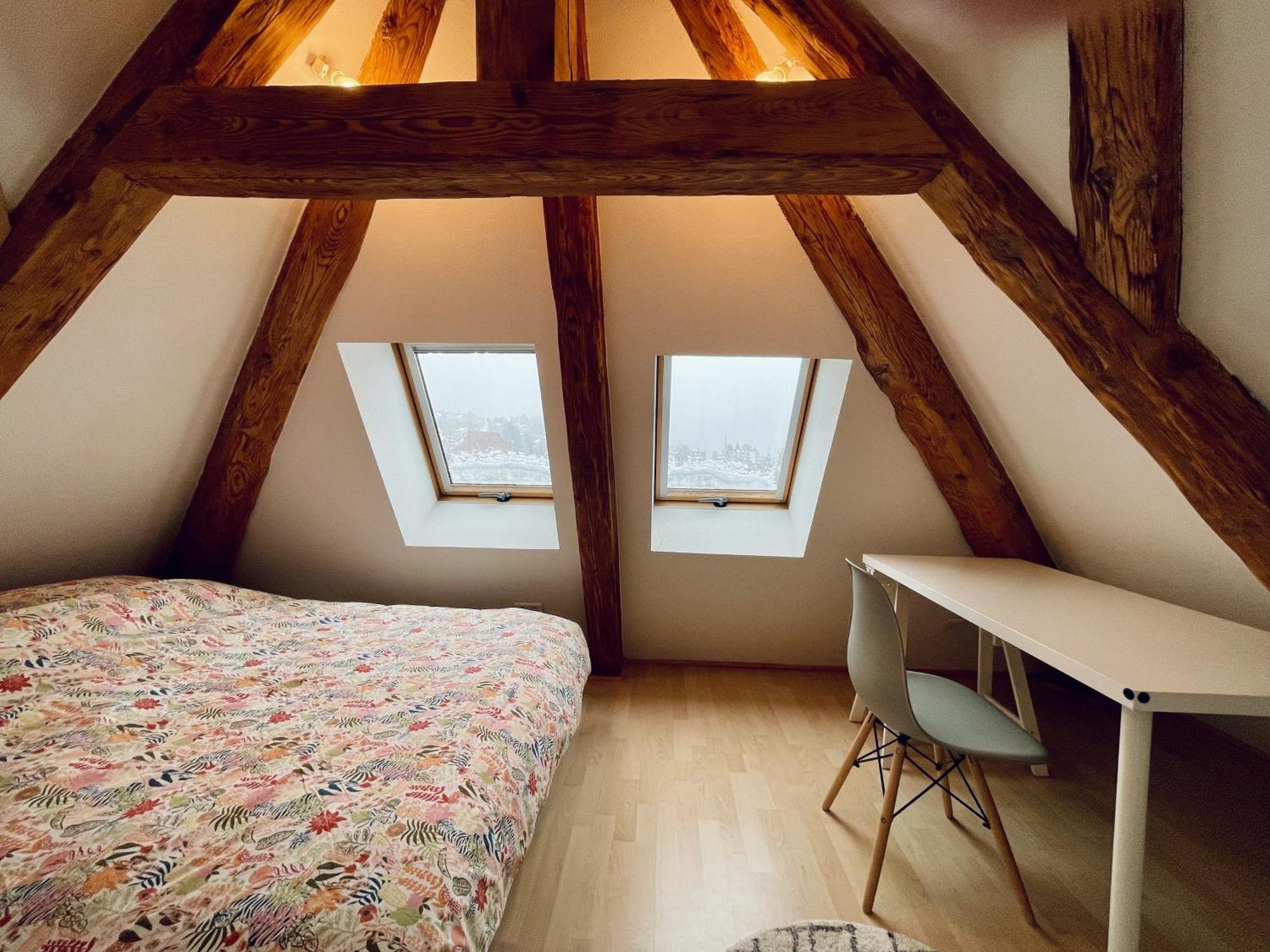 Duplex + Parking Gratuit Facile Daire Sainte-Suzanne  Dış mekan fotoğraf